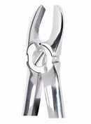 Zahnzangen Fog 17 Molar