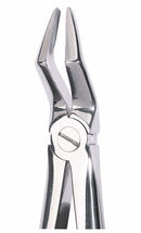 Zahnzangen Fig 51 Zahnwurzel