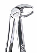 Zahnzangen Fig 22 Molar