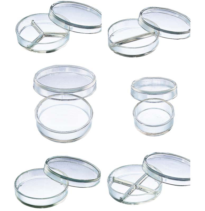 Petrischale viergeteilt, Ø 10 cm, 2,3 cm hoch